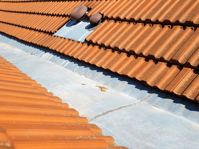 About Leaking Skylight Repair Pros Webb, IA